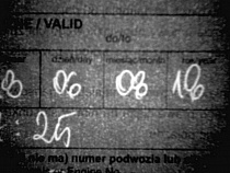 Штраф за подделку даты в «зелёной карте» на границе с Польшей — 700 злотых