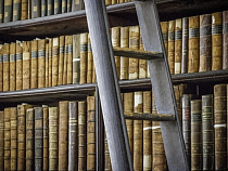 «Библионочь-2016» в Калининграде: подробная программа мероприятия