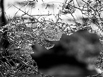 На трассе Калининград – Черняховск маршрутка врезалась в «Ауди»