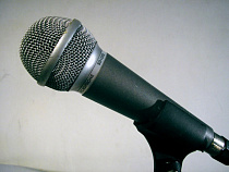 Земфира споёт в Калининграде для фанатов футбола