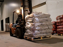 В Калининградской области прогнозируют сбор 34 тысяч тонн овощей