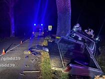 Под Багратионовском в ДТП с деревом погиб водитель 