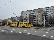 Пассажиров в Калининграде осчастливят открытыми всем ветрам остановками