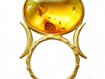 Литовские художники представят в Калининграде свой взгляд на украшения с янтарем