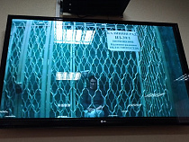 Обвиняемую в гибели новорождённого экс-главврача роддома выпускают на свободу