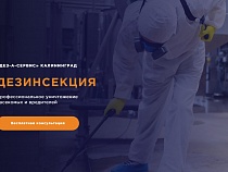 Дезинсекция и другие услуги дезинфекционной службы в Калининграде
