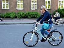 Наталья Шевцова: Польша демпингует, чтобы убить сельское хозяйство соседей