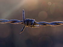 Задержанный при получении 2 млн рублей экс-полицейский сядет на 5,5 лет