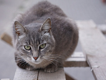 Отопительный сезон: Ростехнадзор нашёл в регионе более 2 тысяч нарушений