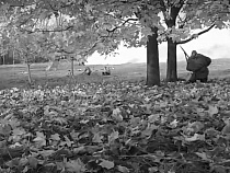 В Калининграде стреляли (видео)