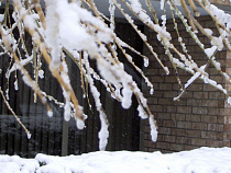 Анжелика Майстер: надо оперативно выявлять замерзающих людей