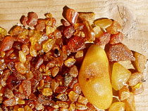 Водитель, сбивший насмерть женщину с коляской у Пионерского, был «чёрным янтарщиком»