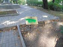 В Калининграде в течение недели не могут ликвидировать следы вандализма на плите Фридриху Бесселю