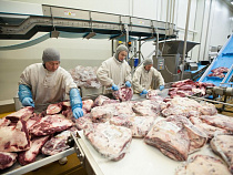 «Мираторг» увеличил поставки высококачественной говядины для производства полуфабрикатов в Калининграде на 90% за 9 месяцев 2016 года 