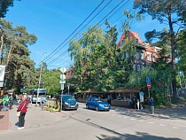 В квартире женщины из Светлогорска не нашли следов иностранца 