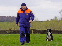 У дороги Калининград-Черняховск-Нестеров нашли артиллерийский снаряд