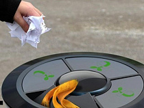 Мэрия Калининграда позволила горожанам самим определиться с дизайном новых урн