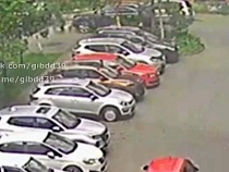 В Калининграде подросток на велосипеде атаковал автомобиль (видео)