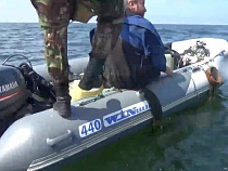 ФСБ и полиция накрыли в Балтийском море янтарных старателей (видео)