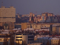 Калининградцы о рекордном морозе: кому заплатить, чтоб с собакой погулял?