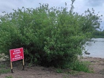 В Сокольниках туристов оглушили запретом палаток с кострами