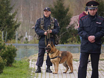 Калининградского бизнесмена поймали на 10 “левых” кредитах