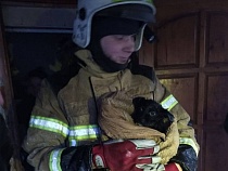 В Калининградской области пожарные спасли от взрыва целую семью