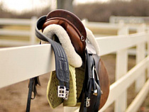 13 бутафорских «лошадей» и «ослик»: каким будет спектакль «Три мушкета» в Драмтеатре