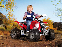 Ранее судимый калининградец угнал у соседа детский электромобиль