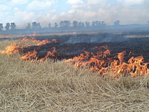 За минувшие сутки в Калининградской области из-за пала травы сгорело 2 га земли