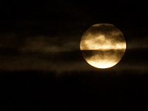 ВСУ: сержант запаса склонял аптекаршу к пассивному интиму (18+)