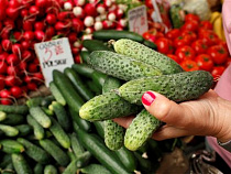Импорт овощей в Россию сократился на 73,2%