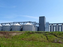 Назван объём зерна для вывоза на экспорт из Калининградской области