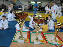 В Калининграде прошел турнир по самбо на призы регионального УФСИН