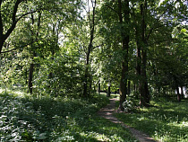 Губернатор Калининградской области потребовал больше рассказывать о посадках 