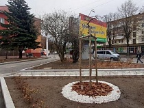 Дятлову просят убрать торговцев от Балтийского рынка вместе с забором