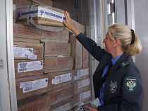 Бульдозер под Калининградом раздавил 43 тонны “санкционки”