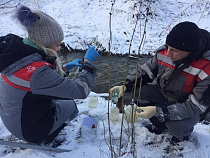 Шокирующие результаты исследований проб воды реки Лесной в Калининграде