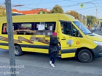 По Калининграду катится облава на маршрутки