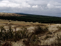 Губернатор Калининградской области: Куршскую косу, конечно, будем развивать