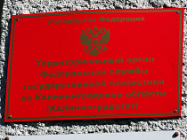 Кредиторская задолженность в Калининградской области составила 237 млрд рублей