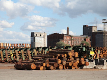 Поставки древесины из Калининграда за рубеж увеличились на 20%