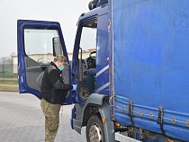 «Всего литр пива выпил»: поляки задержали водителя грузовика в Безледах