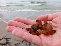 Калининград шокировал правдой о Янтарной комнате