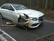 Шторм: на Куршской косе упавшая ветка разломала крыло и капот у «Мерседеса»