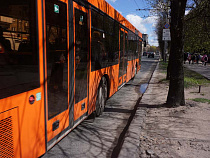 "Калининград-ГорТранс" презентовал 100 новых автобусов МАЗ