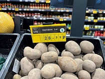 Картофель в Калининграде на 42% дороже, чем в Москве