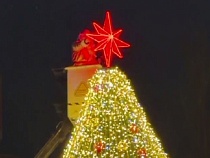 Под Калининградом у моря поставили ёлку с нетрадиционным числом лучей