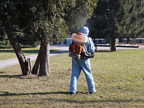 Центральный парк Калининграда обработали от клещей