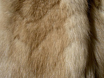 Девушка скинула из окна украденную у знакомой норковую шубу 